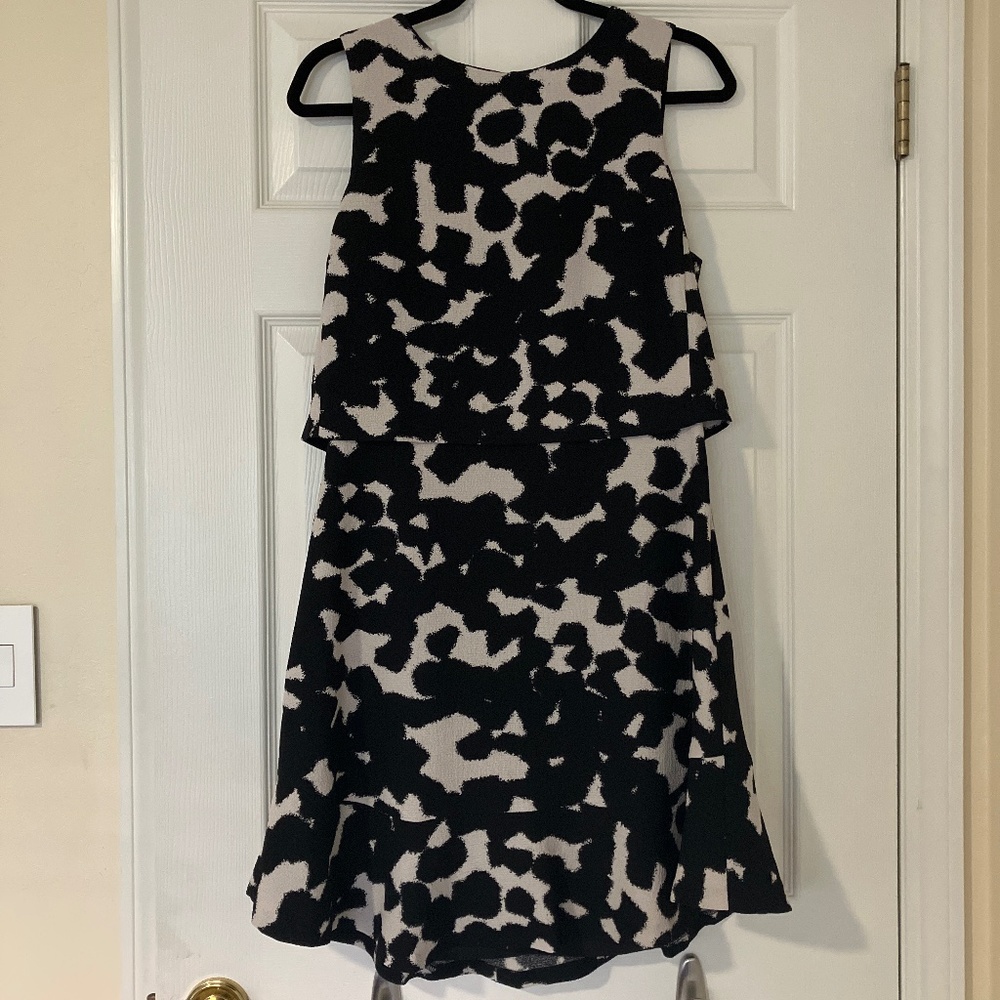Banana Republic Black & White Dress